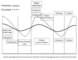 Ciclos da cana-de-açúcar e variações de temperatura e pluviosidade