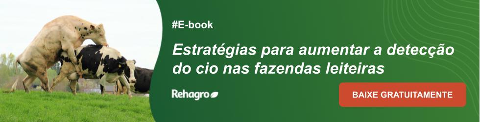 E-book Estratégias para aumentar detecção de cio