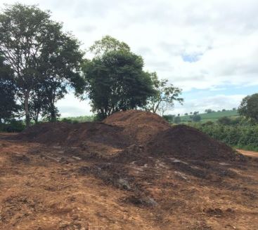 Mistura de esterco e palha de café