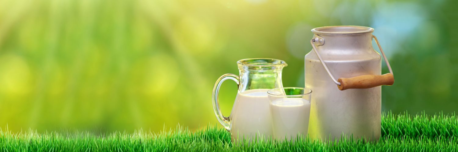 Jarra de leite no campo