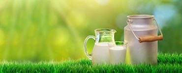 Jarra de leite no campo