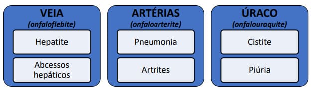 Principais consequencias da onfalite em bezerras