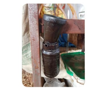 Processo de cura de umbigo de bezerros com tintura de iodo