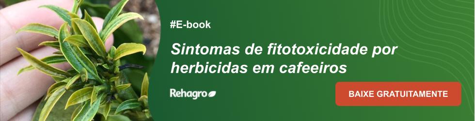E-book Sintomas de fitotoxicidade