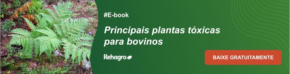 E-book Plantas tóxicas para bovinos
