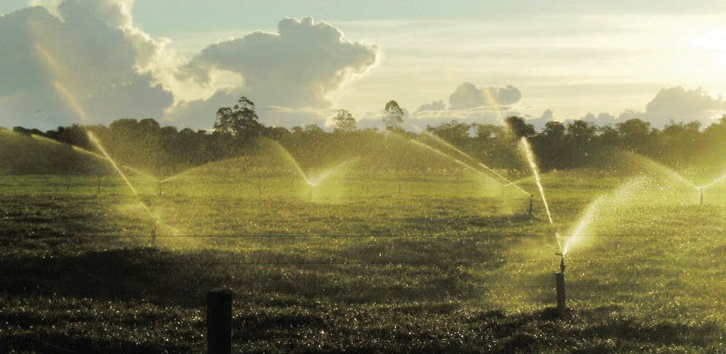 Irrigação de pastagem