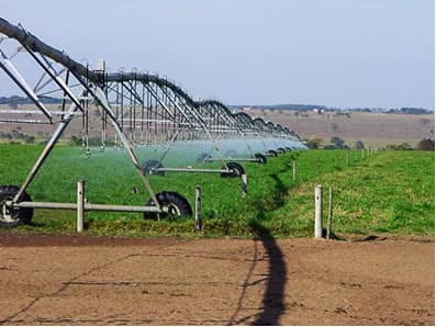 Pastagem irrigada com pivô central