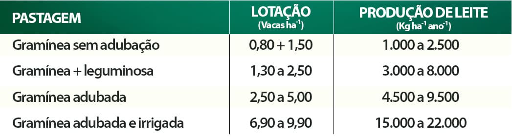 Capacidade de carga e produção por hectare de vários pastos