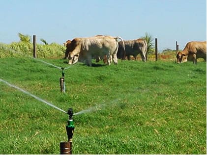 Aspersão em malha com aspersor pequeno