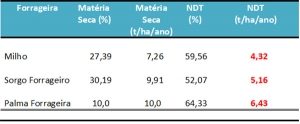 Produção de NDT para milho, sorgo e palma forrageira. 