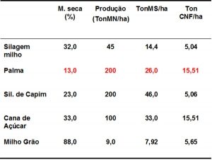 Comparativo de produtividade entre palma forrageira e outros volumosos
