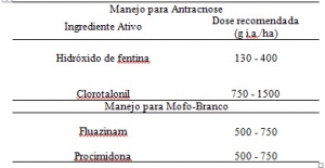 Manejo de doenças do feijoeiro