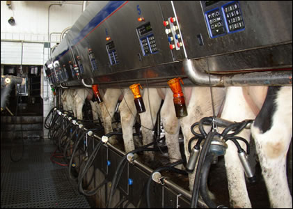 Controle da qualidade do leite