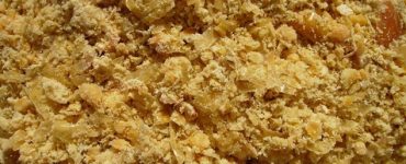 silagem grão úmido