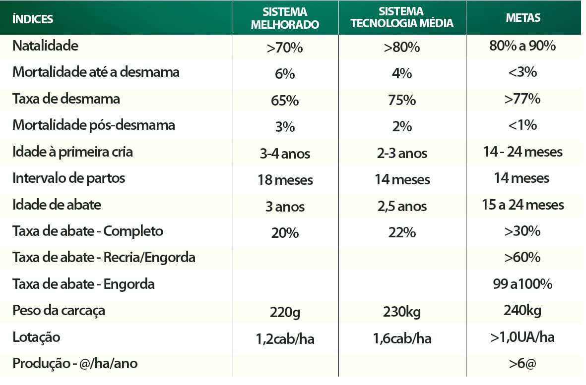 Índices zootécnicos