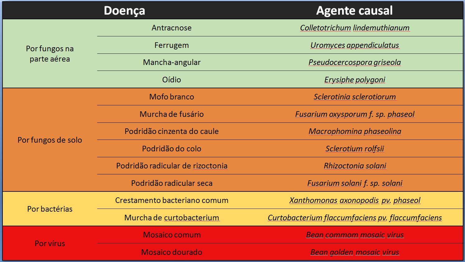 principais doenças do feijoeiro