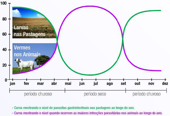 Dinâmica populacional dos endoparasitas em bovinos