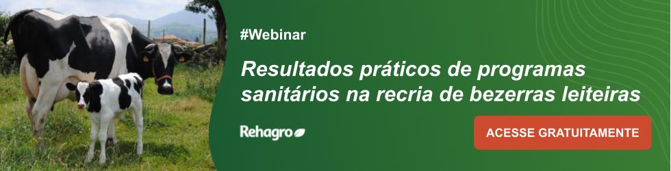 Webinar Recria de bezerras leiteiras