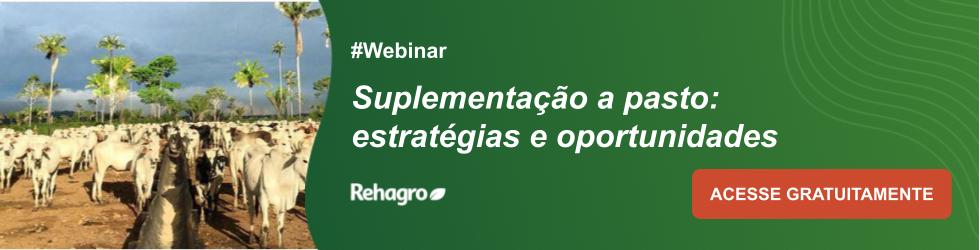 Webinar Suplementação a pasto