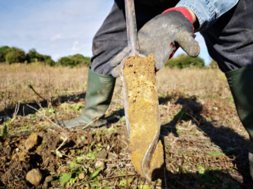 Pessoa retirando uma amostra do solo utilizando um trado.