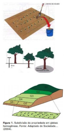 Ilustração com a posição adequada para coleta de amostra em glebas.