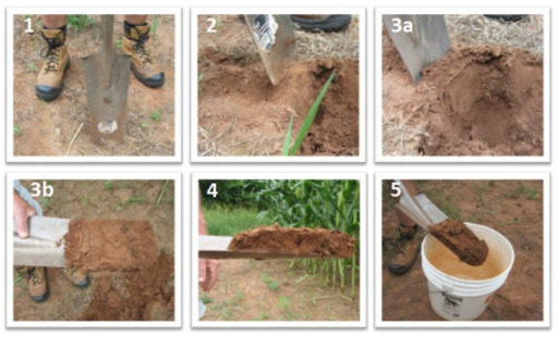Sequencia de retirada de amostra do solo