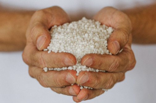 Mãos segurando ureia, uma fonte de nitrogênio