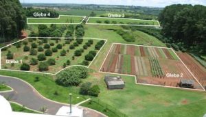 Vista aérea de um campo dividido em quatro glebas diferentes.