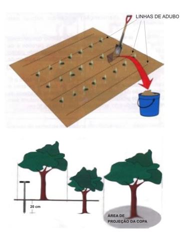 Coleta de amostra de solo para análise