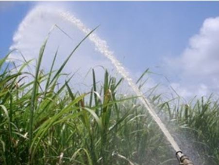 irrigação cana de açúcar