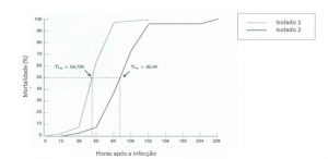 Gráfico da mortalidade broca-do-café.