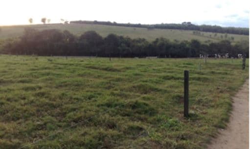 Área de um piquete maternidade