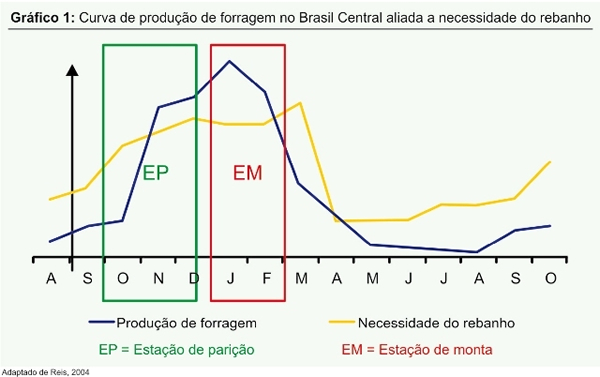 Curva de produção de forragem no Brasil Central
