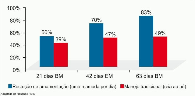 Percentual de vacas ciclando ao longo da estação de monta