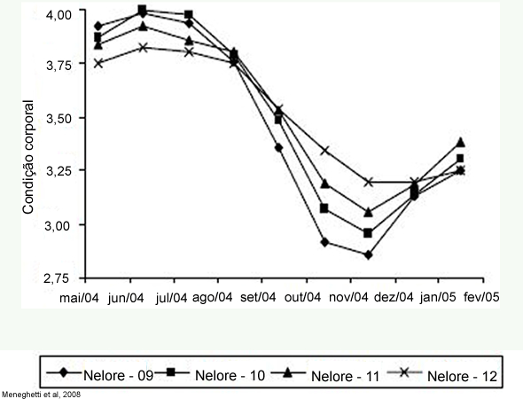 Queda na condição corporal de primíparas