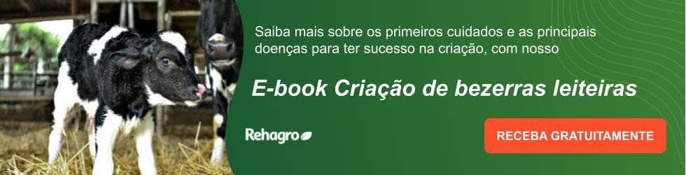 E-book criação de bezerras leiteiras