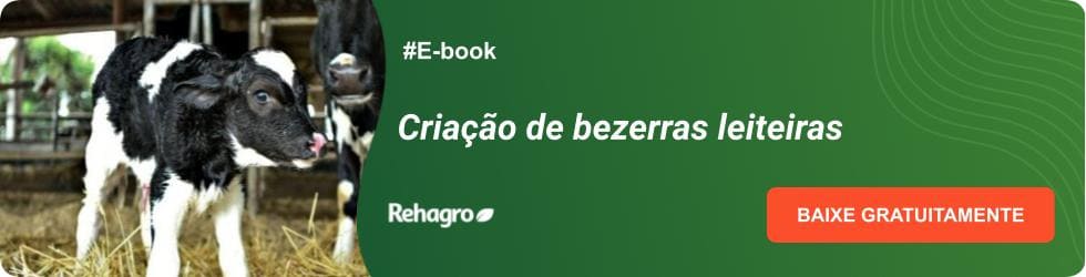 E-book criação de bezerras leiteiras