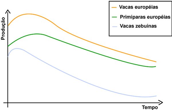 Curva de lactação da dieta para bovinos leiteiros