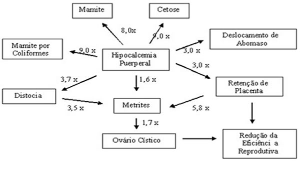 Problemas causados pela hipocalcemia