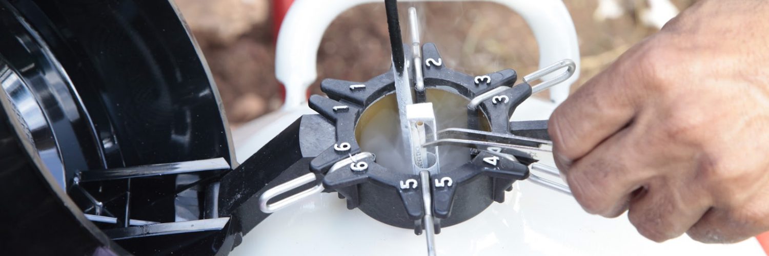 manejo reprodutivo bovino