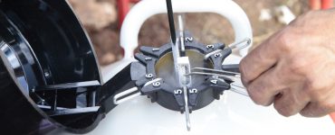 manejo reprodutivo bovino