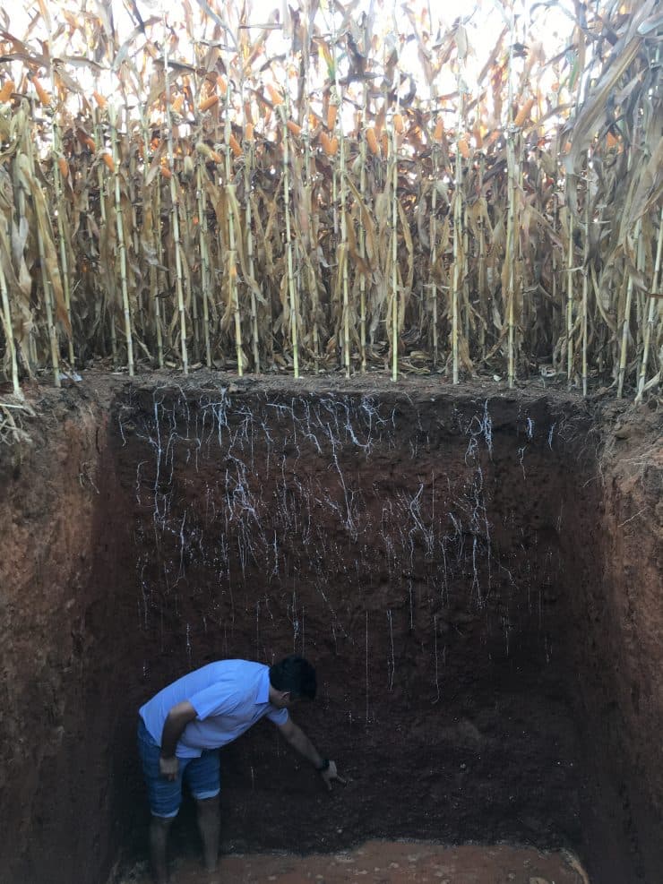 Trincheira sendo escavada