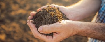 mão segurando o solo