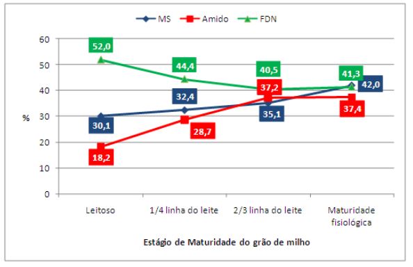 Teor de matéria seca