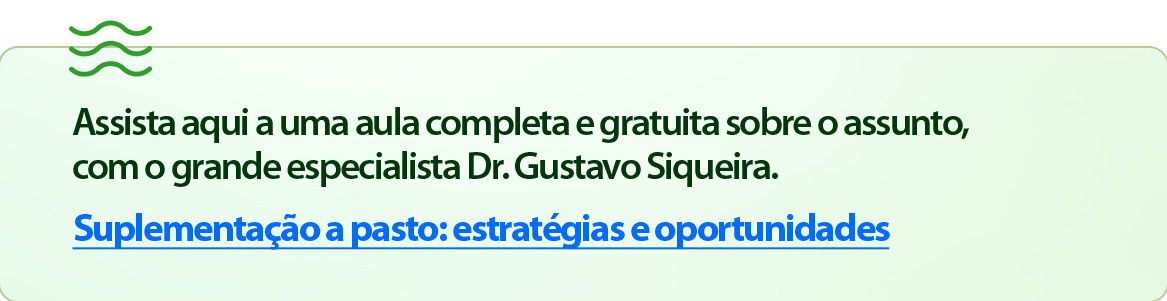 Suplementação a pasto