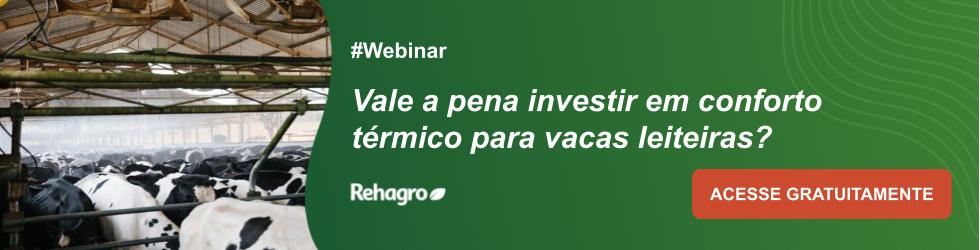 Webinar Conforto térmico