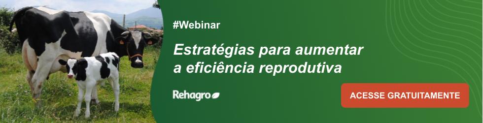 Webinar Eficiência reprodutiva em vacas leiteiras