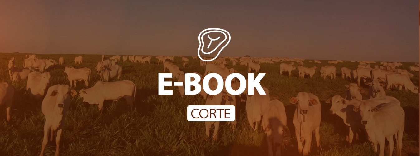 e-book corte