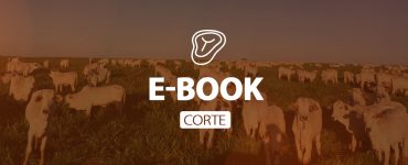 e-book corte