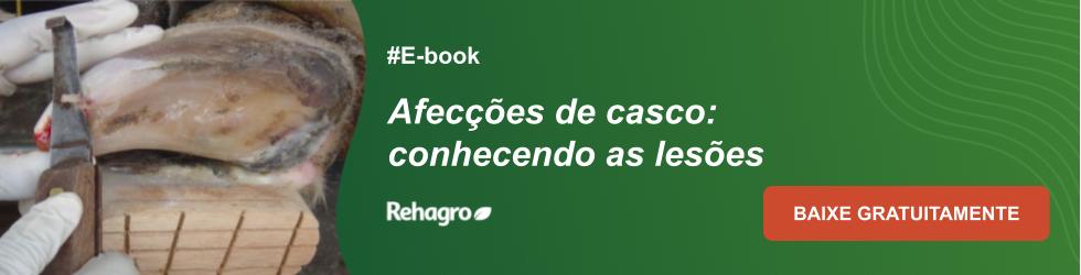 E-book Afecções de casco